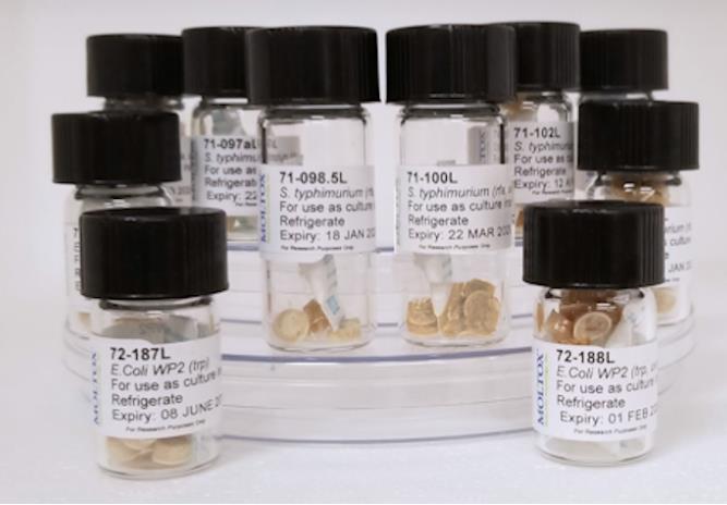 Moltox組氨酸缺陷型鼠傷寒沙門氏菌 TA102產(chǎn)品圖1