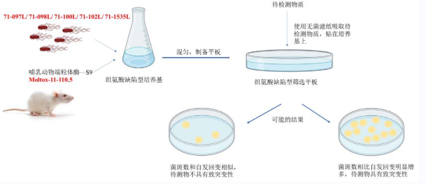 Moltox試驗