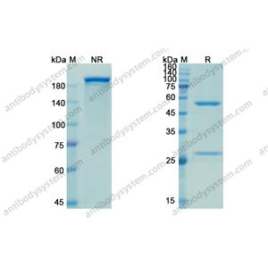 依沃蘇單抗，Evolocumab，anti-PCSK9 antibody 抗體