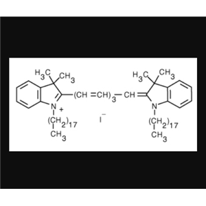 DiR細胞膜熒光探針深紅色;DiR碘化物
