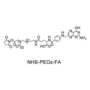 琥珀酰亞胺酯-聚(2-乙基-2-噁唑啉)-葉酸；NHS-PEOz-FA