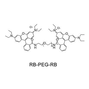 羅丹明-聚乙二醇-羅丹明；RB-PEG-RB