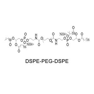 磷脂-聚乙二醇-磷脂；DSPE-PEG-DSPE