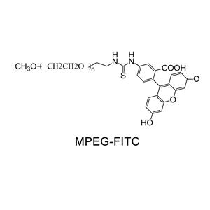 甲氧基聚乙二醇-熒光素；MPEG-FITC