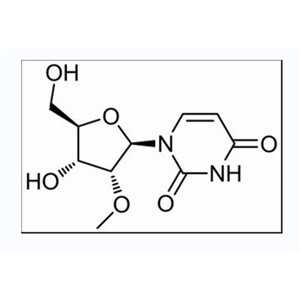 2'-甲氧基尿苷
