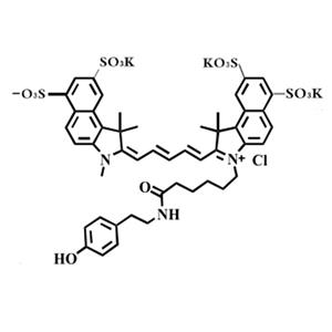 Suflo-Cyanine5.5 Tyramide，磺酸基-花青素Cy5.5 酪胺