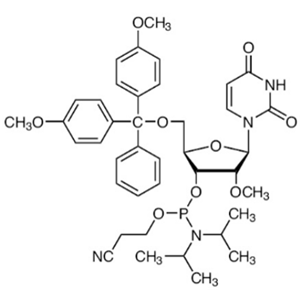 2'-OME-U-CE-亞磷酰胺