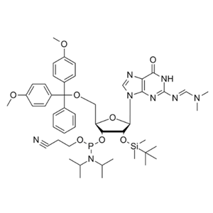 DMT-2'-O-TBDMS-G(DMF)-CE-亞磷酰胺