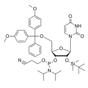 2'-TBDMS-RU 亞磷酰胺單體