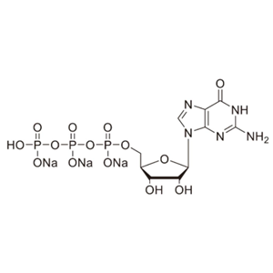 5'-三磷酸鳥苷三鈉,100 MM溶液