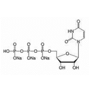 UTP 100mM solution