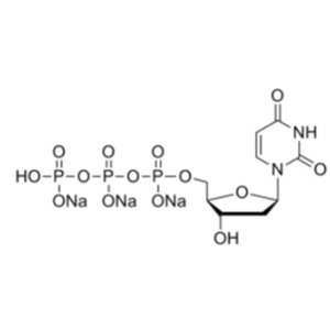 100MM脫氧尿苷三磷酸溶液 (DUTP 100MM)