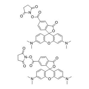 5(6)-羧基四甲基羅丹明琥珀酰亞胺酯