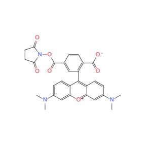 6-羧基四甲基羅丹明琥珀酰亞胺酯