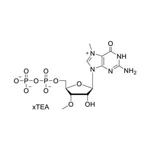 m7-3'OMe-GDP