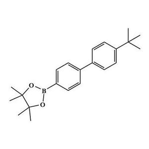 4'-叔丁基-[1,1'-聯(lián)苯]-4-硼酸頻哪醇脂；1080642-61-0