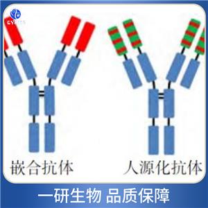 腺苷脫氨酶抗體