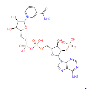 煙酰胺腺嘌呤雙核苷酸磷酸鹽，Triphosphopyridine n，53-59-8