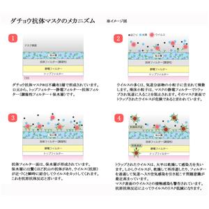 細(xì)胞角蛋白3蛋白，Cytokeratin 3 Protein