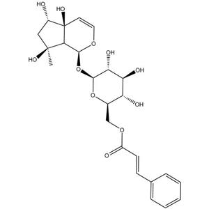 6'-O-肉桂?；蛙諀1245572-24-0