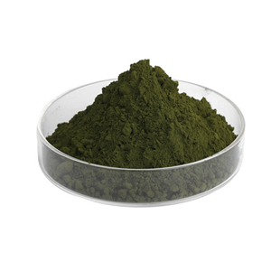 ISO Certificate Food Grade Chlamydomonas Reinhardtii powder 萊茵衣藻粉