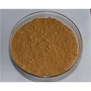 鐵皮石斛提取物10:1，多糖30%50% Dendrobium candidum extract