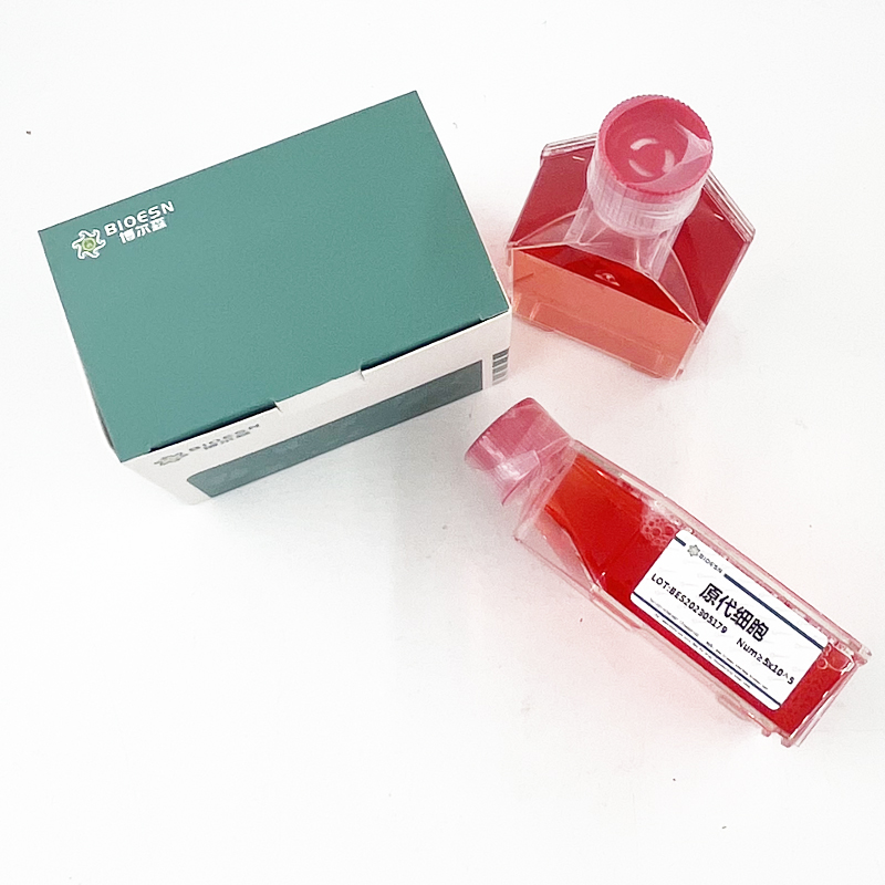 豚鼠白介素4(IL4) ELISA Kit