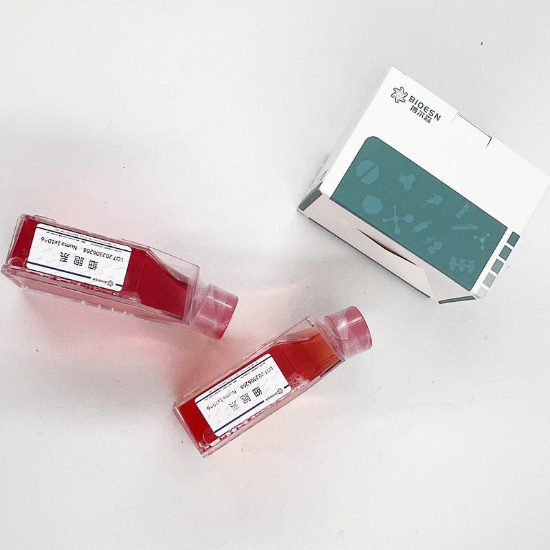 豚鼠轉(zhuǎn)化生長(zhǎng)因子β1(TGFβ1) ELISA Kit