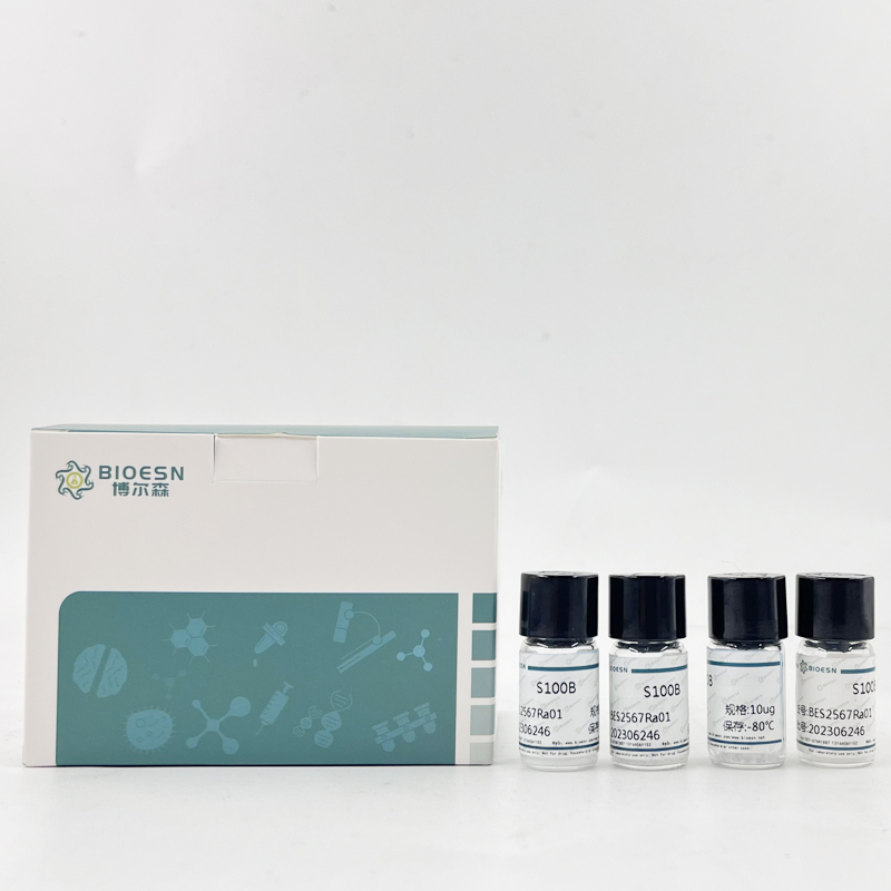 四氫生物喋呤(THB) ELISA Kit