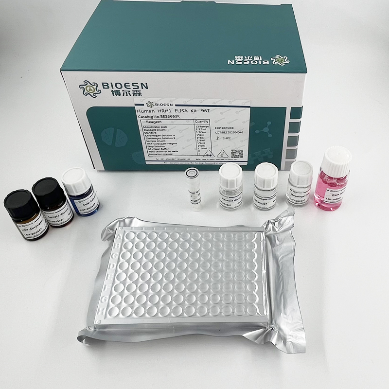 維生素B12(VB12) ELISA Kit