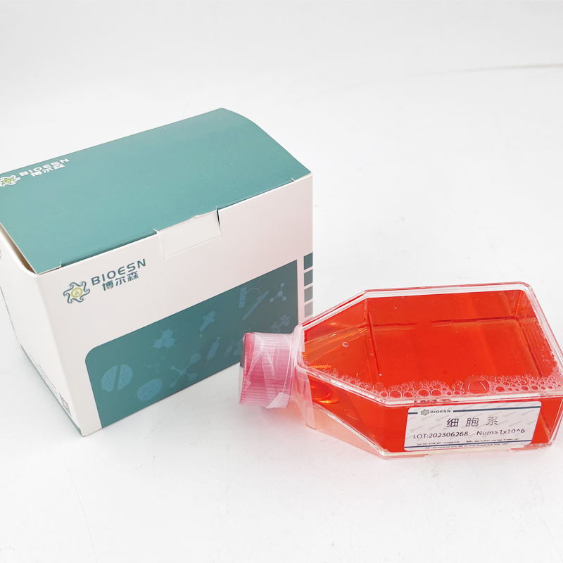 雌二醇(E2) ELISA Kit