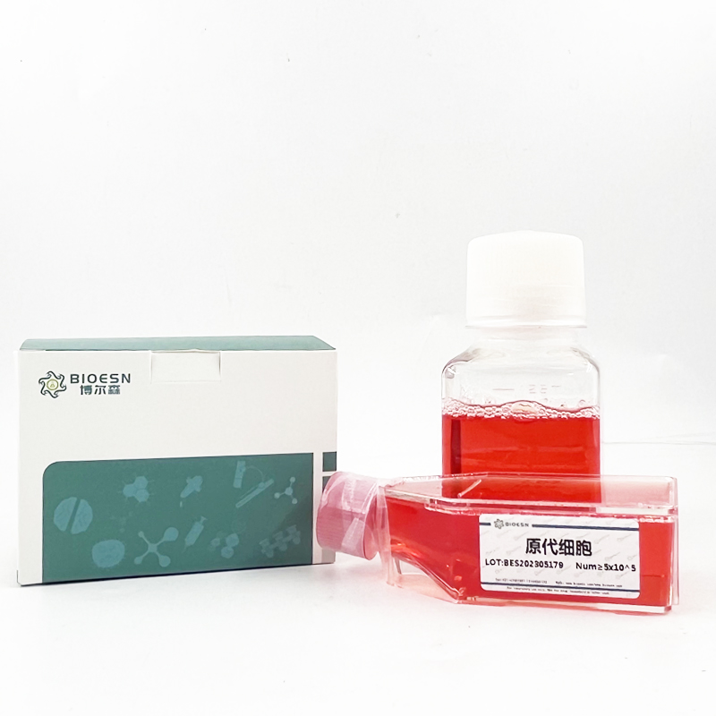 血小板啟動因子(PAF) ELISA Kit