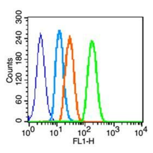 MICA MHC I類(lèi)鏈相關(guān)蛋白A/組織相容性復(fù)合物MHCIa抗體