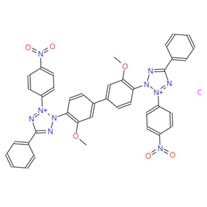 氯化硝基四氮唑蘭，NBT，298-83-9