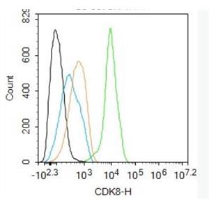 Anti-CDK8 antibody-周期素依賴性激酶8抗體