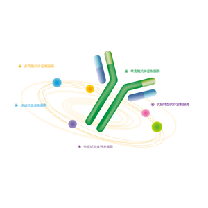 義翹神州——抗體定制服務(wù)