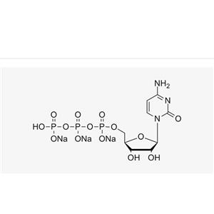 CTP sodium solution (100 mM)