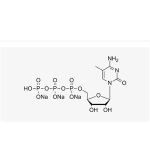 5-Me-CTP (100 mM)