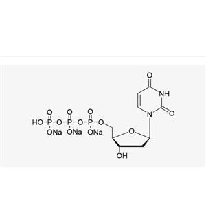 dUTP Sodium Salt Solution(100 mM)