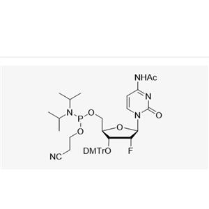 3'-DMT-2'-F-dC(Ac)-CE Reverse