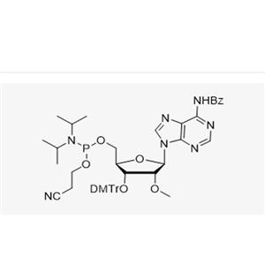 3'-DMT-2'-OMe-A(Bz)-CE Reverse