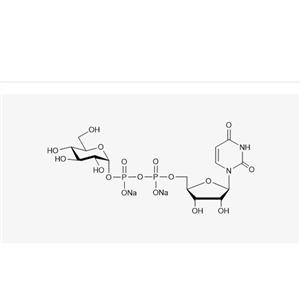 UDP-Glc.2Na