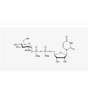 UDP-GlcNAc.2Na（98%）