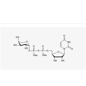 UDP-β-L-Ara.2Na