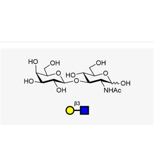 LNB