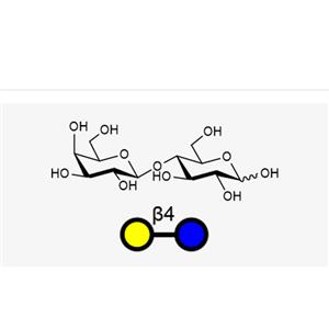 Lactose(Galb1, 4Glc)