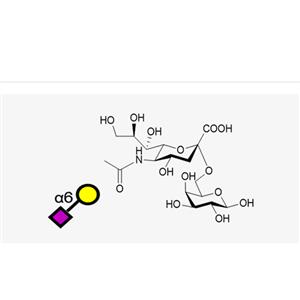Neu5Aca2, 6Gal