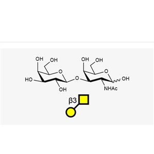 Galacto-N-biose(GalNAca1, 3Gal)