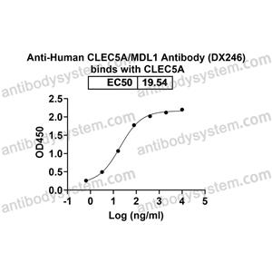 Anti-Human CLEC5A/MDL1 Antibody (DX246) (FHK16010)