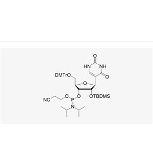 DMT-2'-O-TBDMS-Pseudouridine